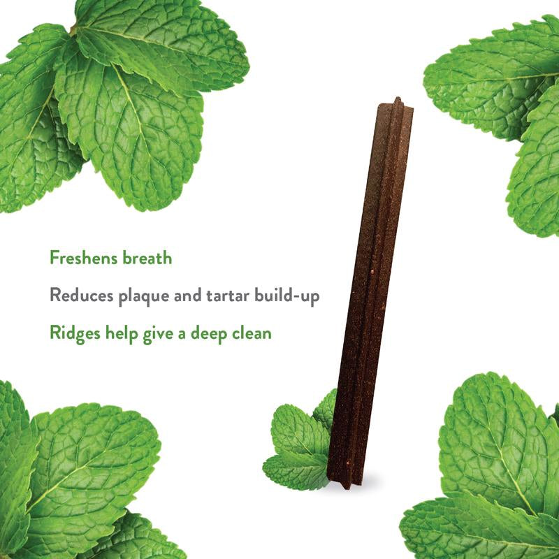 Dental Stick Variety 4-Pack Dog Treats