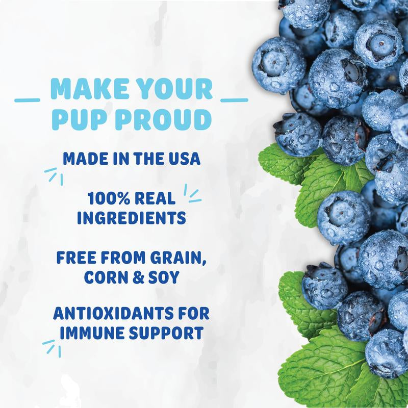 Dental Stick Variety 4-Pack Dog Treats