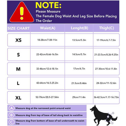 Washable Female Dog Diapers, 4-Pack Reusable and Absorbent, Leak-Proof for Heat and Training