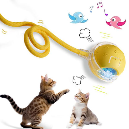 Bird Song Automatic Rolling Ball, Electric Rope Cat Ball Toy, Interactive Cat Teasing Toy, Pet Chasing Toy, Cat Toy, Pet Supplies, Dog and Cat Accessories
