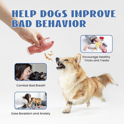 Nocciola 10 PCS Seafood Boil Dog Toy Set with a Pot, Christmas Gift, Squeaky Crinkle Plush Puppy Toy,Interactive Toys, Hide Toys for Small to Medium Dogs