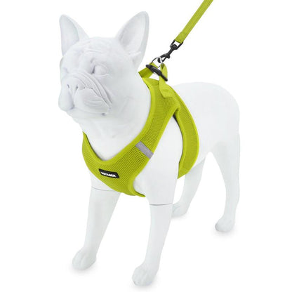 Step-In Air Harness & Leash Set with Matching Trim