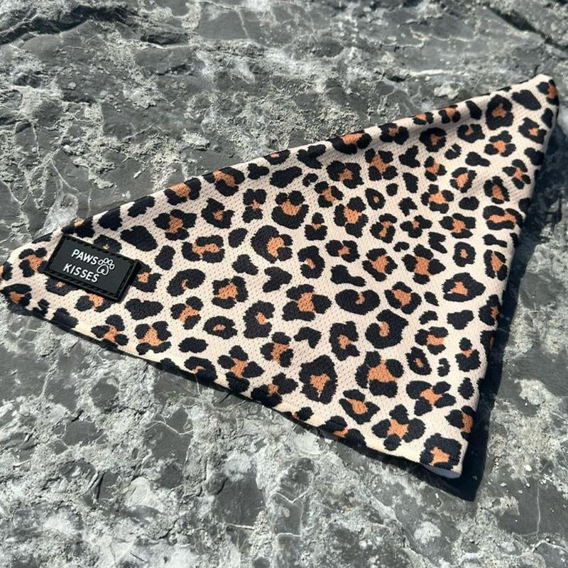 Cooling Bandanas for Dogs - Stay Cool in All Seasons - Stylish Neck Accessory