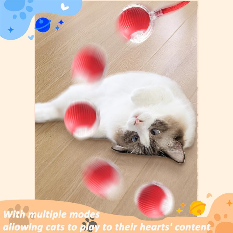 Bird Song Automatic Rolling Ball, Electric Rope Cat Ball Toy, Interactive Cat Teasing Toy, Pet Chasing Toy, Cat Toy, Pet Supplies, Dog and Cat Accessories