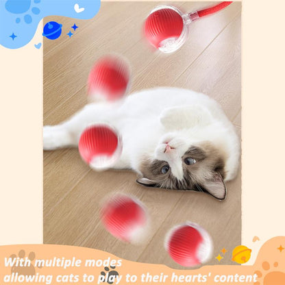 Bird Song Automatic Rolling Ball, Electric Rope Cat Ball Toy, Interactive Cat Teasing Toy, Pet Chasing Toy, Cat Toy, Pet Supplies, Dog and Cat Accessories