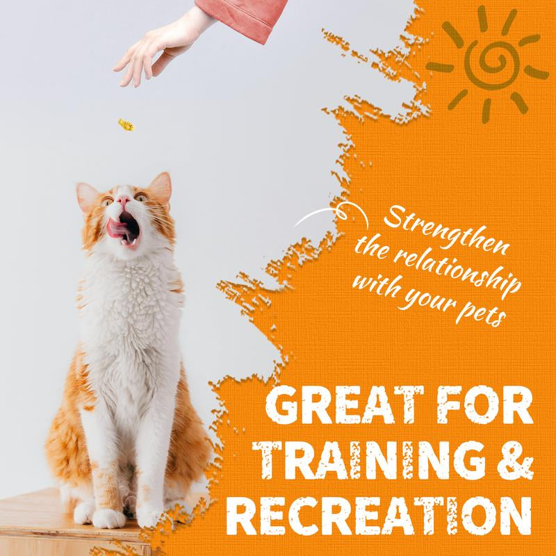 13.4 OZ Cat Treats Pumpkin Healthy Cat Snacks Training Biscuits Treats for Cats Digestive Support Low Calorie Snacks Natural Salmon Flavor