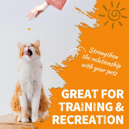 13.4 OZ Cat Treats Pumpkin Healthy Cat Snacks Training Biscuits Treats for Cats Digestive Support Low Calorie Snacks Natural Salmon Flavor