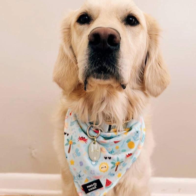 Cooling Bandanas for Dogs - Stay Cool in All Seasons - Stylish Neck Accessory