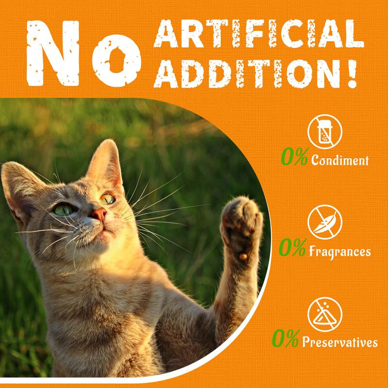 13.4 OZ Cat Treats Pumpkin Healthy Cat Snacks Training Biscuits Treats for Cats Digestive Support Low Calorie Snacks Natural Salmon Flavor