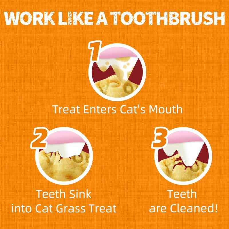 13.4 OZ Cat Treats Pumpkin Healthy Cat Snacks Training Biscuits Treats for Cats Digestive Support Low Calorie Snacks Natural Salmon Flavor