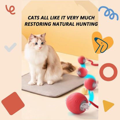 Bird Song Automatic Rolling Ball, Electric Rope Cat Ball Toy, Interactive Cat Teasing Toy, Pet Chasing Toy, Cat Toy, Pet Supplies, Dog and Cat Accessories