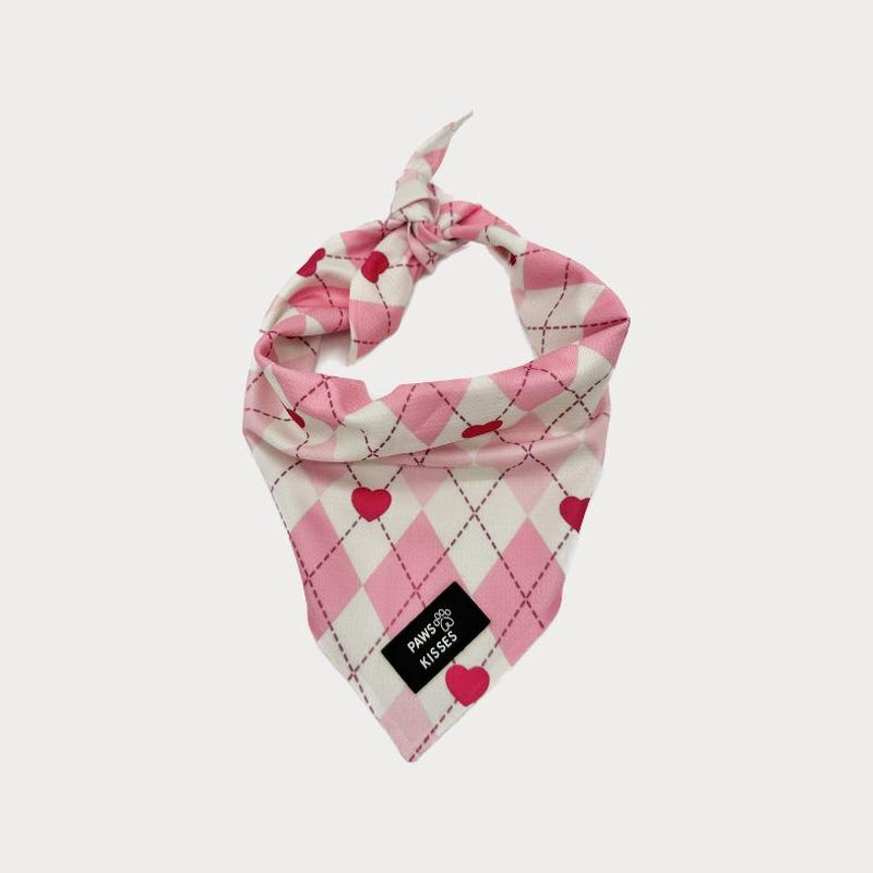 Cooling Bandanas for Dogs - Stay Cool in All Seasons - Stylish Neck Accessory