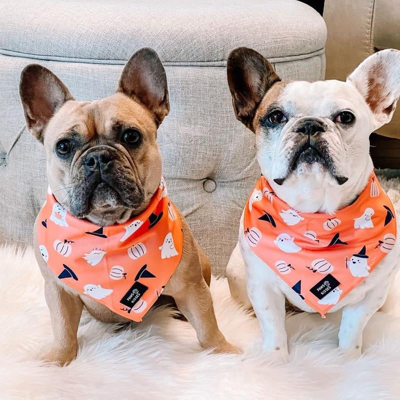 Cooling Bandanas for Dogs - Stay Cool in All Seasons - Stylish Neck Accessory