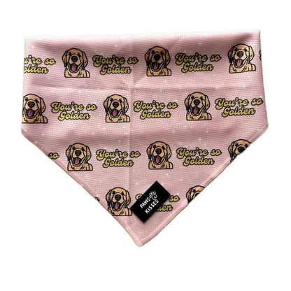 Cooling Bandanas for Dogs - Stay Cool in All Seasons - Stylish Neck Accessory