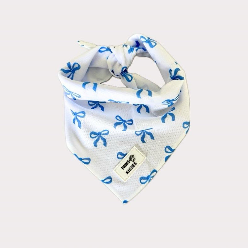 Cooling Bandanas for Dogs - Stay Cool in All Seasons - Stylish Neck Accessory