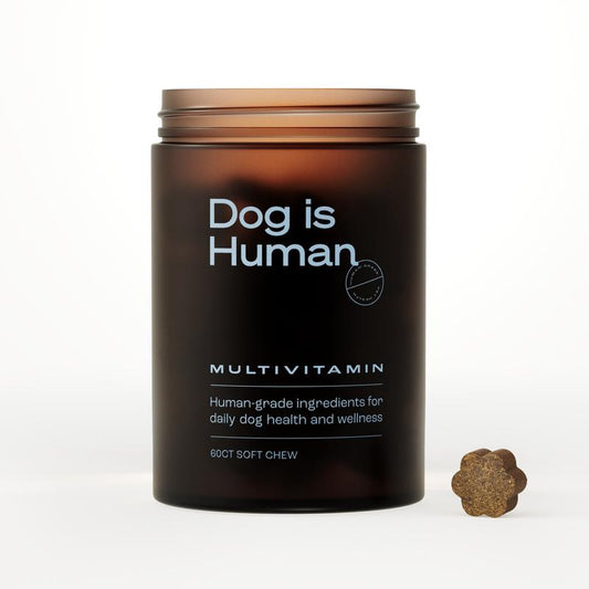Dog Is Human Daily Multivitamin for Dogs - Human-Grade, Vet-Formulated, Made in Vermont