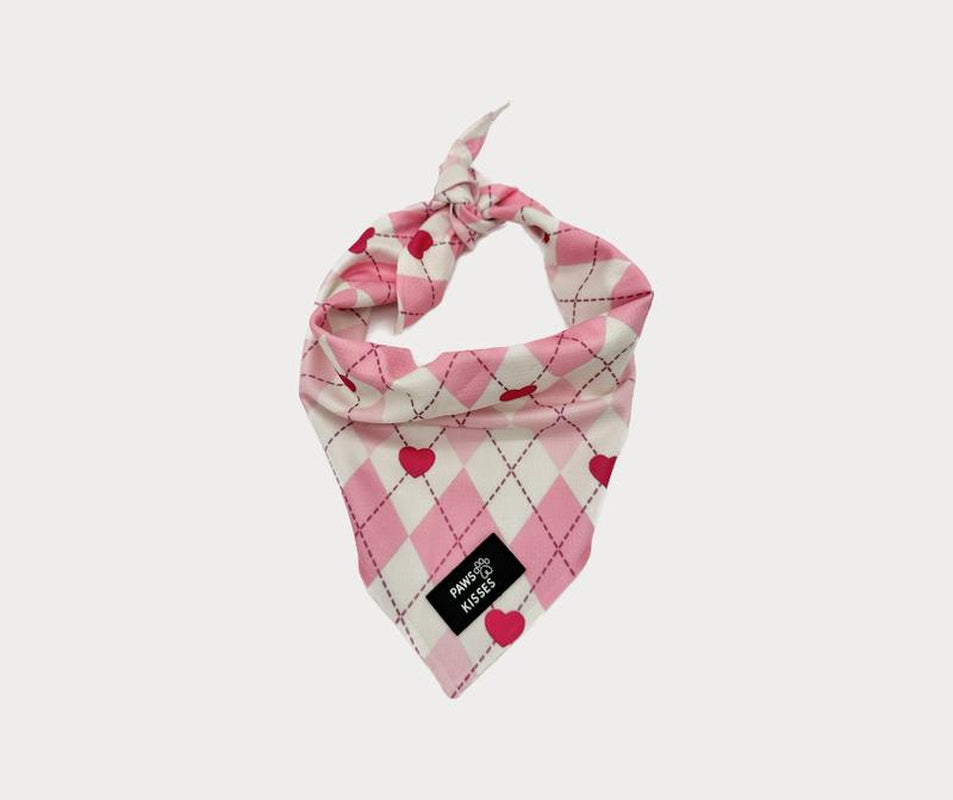 Cooling Bandanas for Dogs - Stay Cool in All Seasons - Stylish Neck Accessory