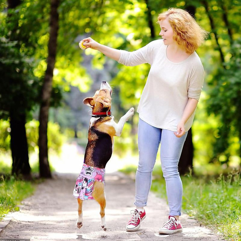 Washable Female Dog Diapers, 4-Pack Reusable and Absorbent, Leak-Proof for Heat and Training