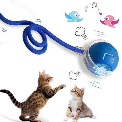 Bird Song Automatic Rolling Ball, Electric Rope Cat Ball Toy, Interactive Cat Teasing Toy, Pet Chasing Toy, Cat Toy, Pet Supplies, Dog and Cat Accessories
