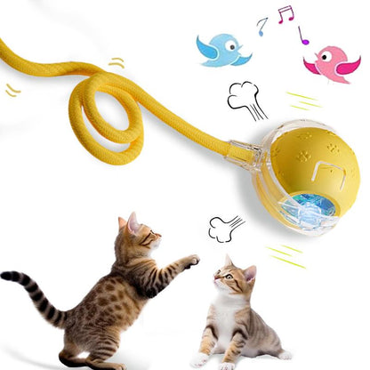 Bird Song Automatic Rolling Ball, Electric Rope Cat Ball Toy, Interactive Cat Teasing Toy, Pet Chasing Toy, Cat Toy, Pet Supplies, Dog and Cat Accessories