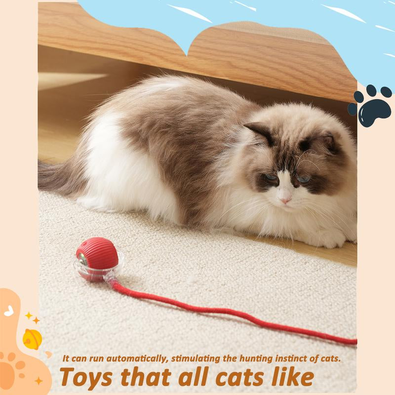 Bird Song Automatic Rolling Ball, Electric Rope Cat Ball Toy, Interactive Cat Teasing Toy, Pet Chasing Toy, Cat Toy, Pet Supplies, Dog and Cat Accessories