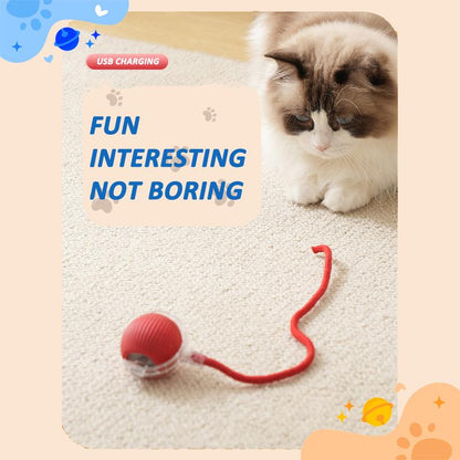 Bird Song Automatic Rolling Ball, Electric Rope Cat Ball Toy, Interactive Cat Teasing Toy, Pet Chasing Toy, Cat Toy, Pet Supplies, Dog and Cat Accessories